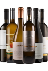 chardonnay-slovenske-6-pack