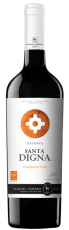 carmenere-reserva-santa-digna-4