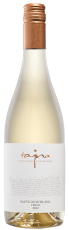 sauvignon-blanc-fresh-4