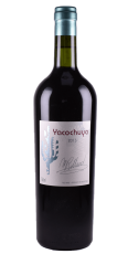 yacochuya-malbec-1
