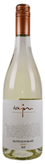 sauvignon-blanc-fresh-7